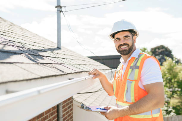 Best Roof Gutter Cleaning  in Holley, NY
