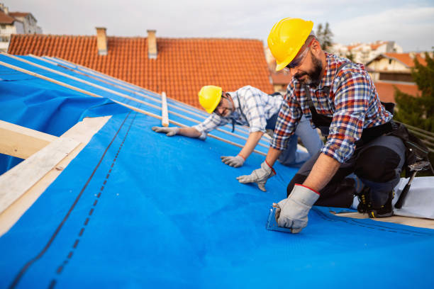 Best Roof Repair Services  in Holley, NY