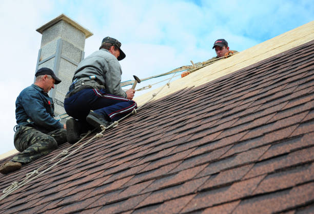 Best Gutter Installation and Roofing  in Holley, NY