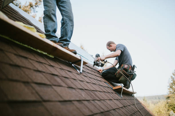 Best Roof Replacement Cost  in Holley, NY
